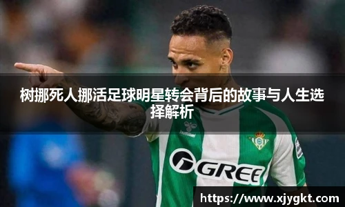 树挪死人挪活足球明星转会背后的故事与人生选择解析